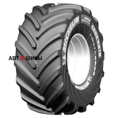 Michelin CereXbib CFO