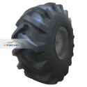 Forerunner 691