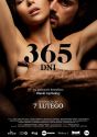 ���� ���� 365
